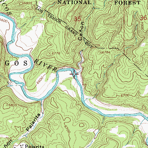 Topographic Map of Caon Chamisolosa, NM