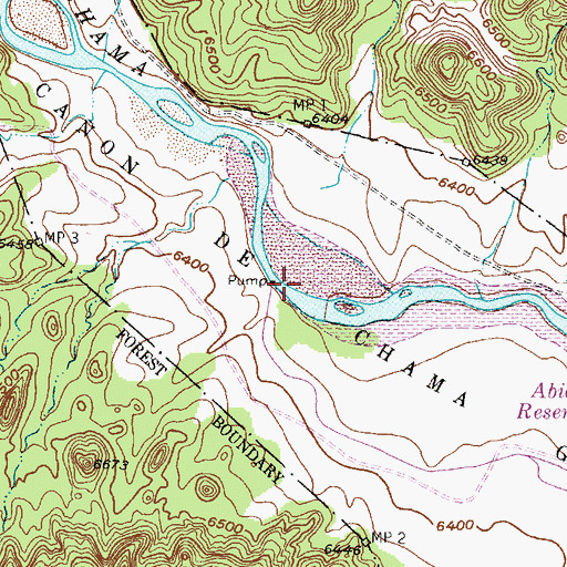 Topographic Map of Canon de Chama Grant, NM