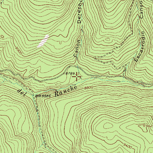 Topographic Map of Caon Derecho, NM