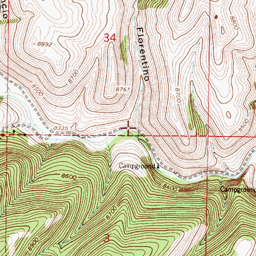 Topographic Map of Caon Florentino, NM