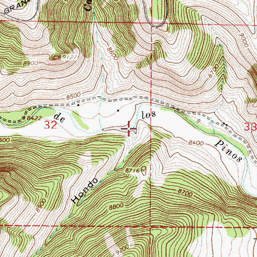 Topographic Map of Caon Hondo, NM