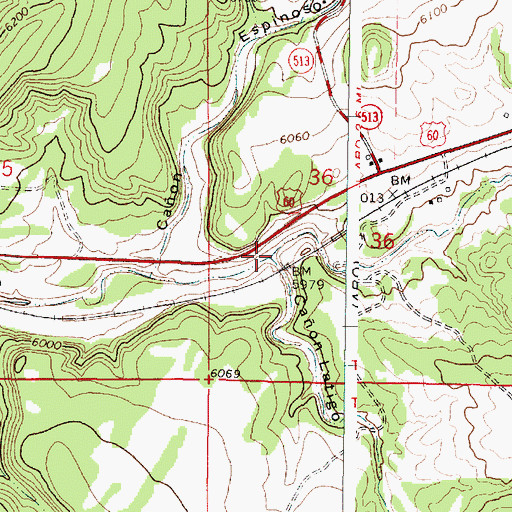 Topographic Map of Caon Latigo, NM