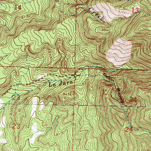 Topographic Map of Caon Madera, NM