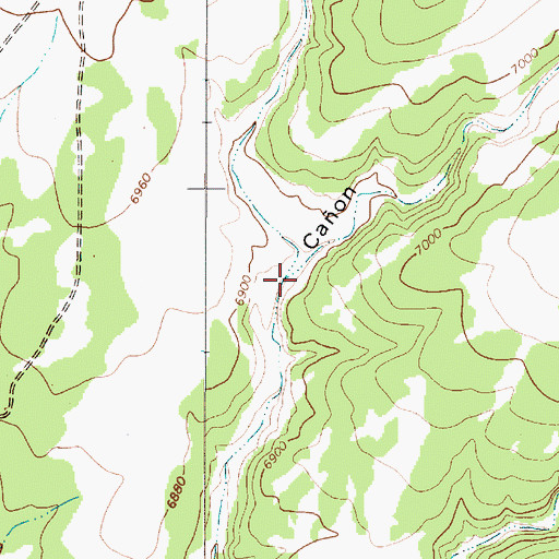 Topographic Map of Caon Mesteo, NM