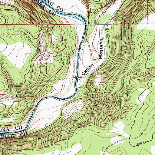 Topographic Map of Caon Mesteo, NM