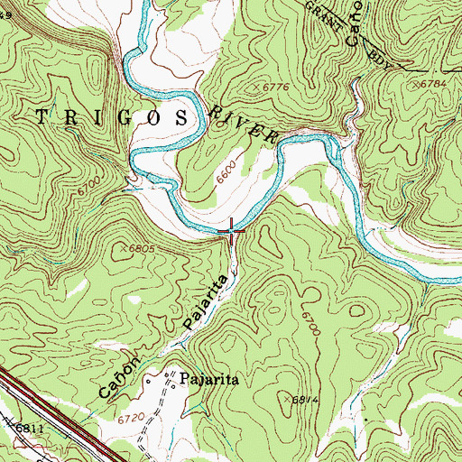 Topographic Map of Caon Pajarita, NM
