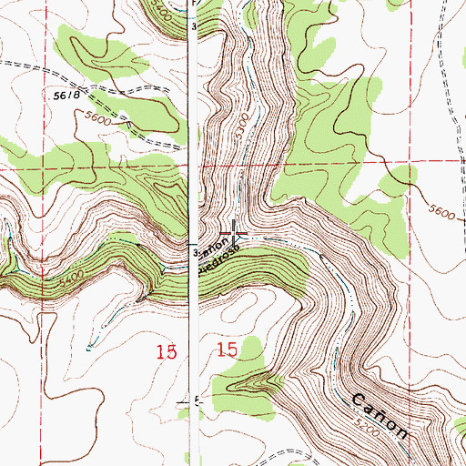 Topographic Map of Caon Piedroso, NM
