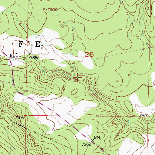 Topographic Map of Caon Pinabetoso, NM