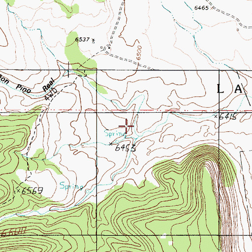 Topographic Map of Caon Pino Real, NM