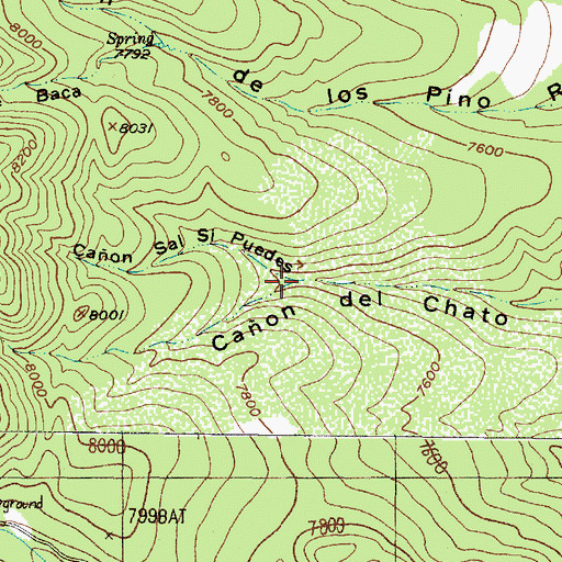 Topographic Map of Caon Sal Si Puedes, NM