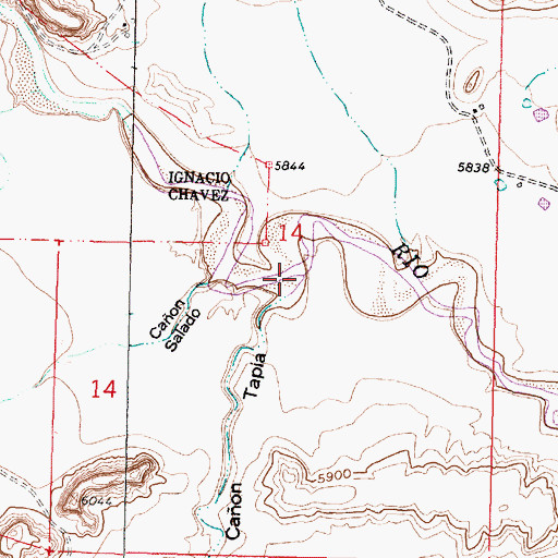 Topographic Map of Caon Tapia, NM