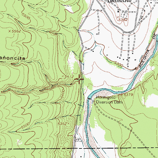 Topographic Map of Caoncita, NM