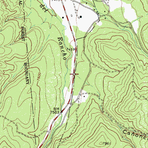 Topographic Map of Caoncito del Ojito, NM