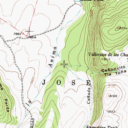 Topographic Map of Caoncito Tia Tona, NM