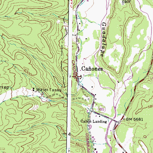 Topographic Map of Caones, NM