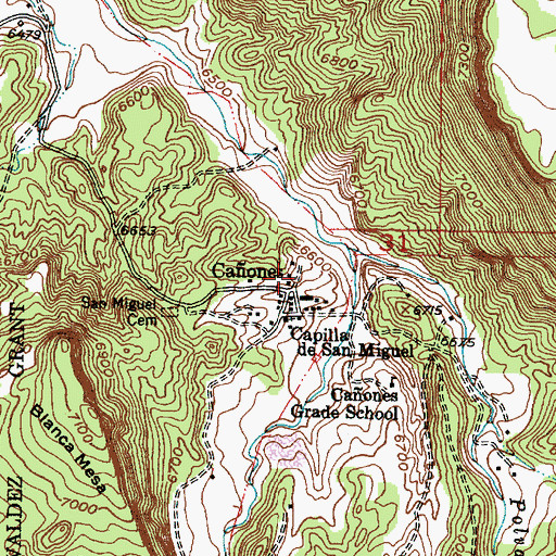 Topographic Map of Caones, NM