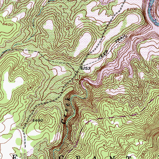 Topographic Map of Caones Creek, NM