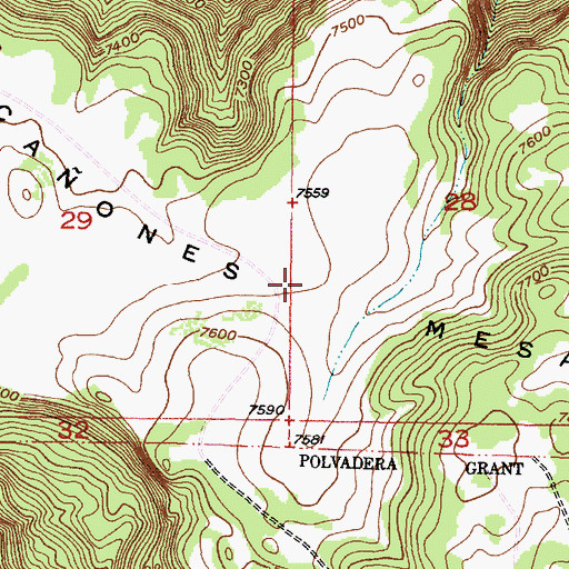 Topographic Map of Caones Mesa, NM