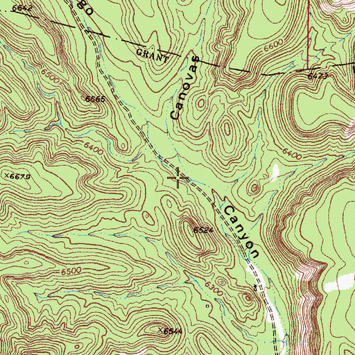 Topographic Map of Canovas Canyon, NM