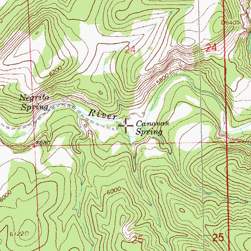 Topographic Map of Canovas Spring, NM