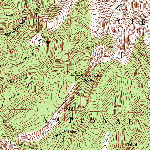 Topographic Map of Caovitas Spring, NM