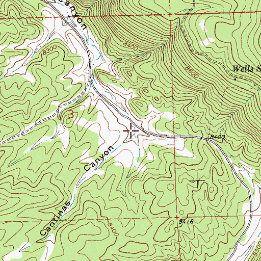 Topographic Map of Cantinas Canyon, NM
