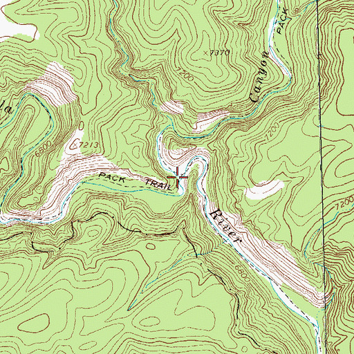 Topographic Map of Canyon Creek, NM