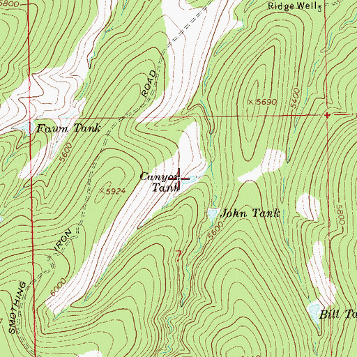 Topographic Map of Canyon Tank, NM