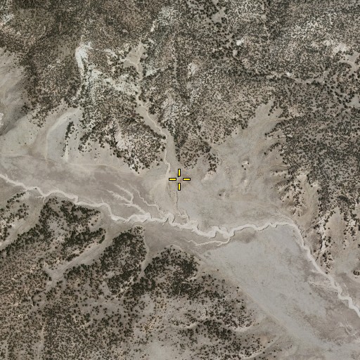 Aerial/Satellite Image of Canyon Well, NM