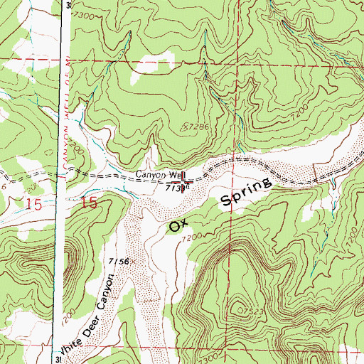 Topographic Map of Canyon Well, NM