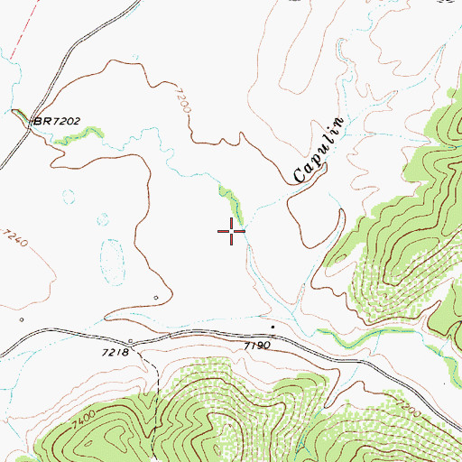 Topographic Map of Capulin Creek, NM