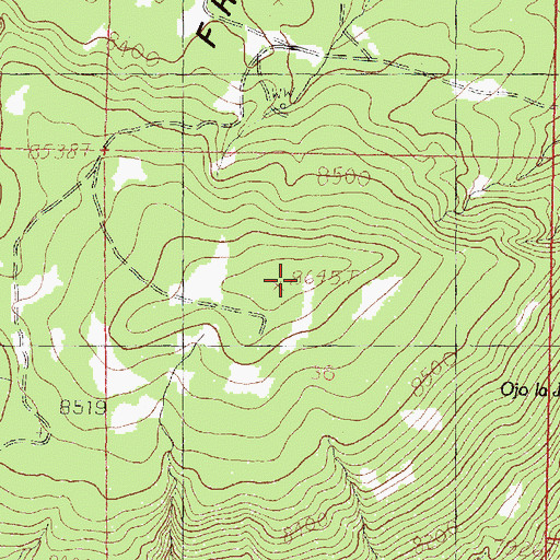 Topographic Map of French Mesa, NM