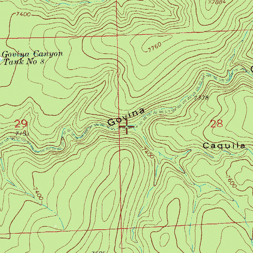Topographic Map of Caguila Canyon, NM