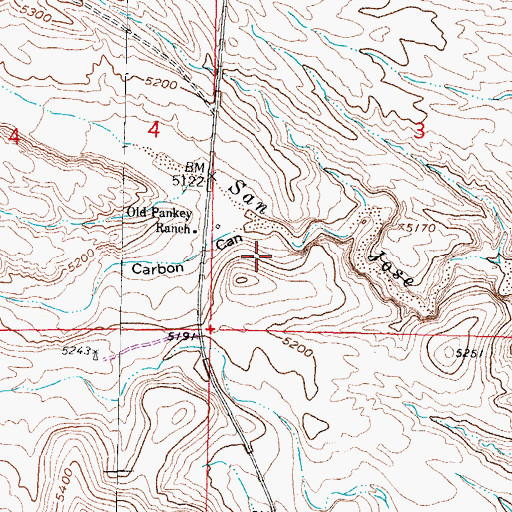 Topographic Map of Carbon Canyon, NM