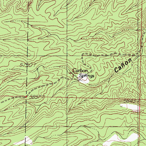 Topographic Map of Carbon Springs, NM