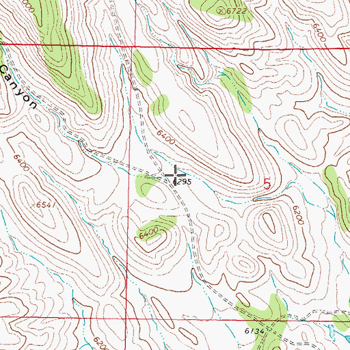 Topographic Map of Caronita Canyon, NM