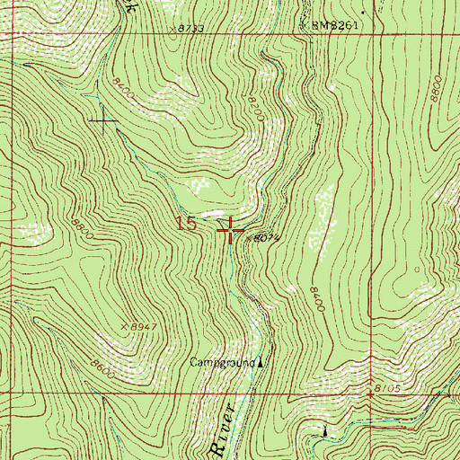 Topographic Map of Carpenter Creek, NM