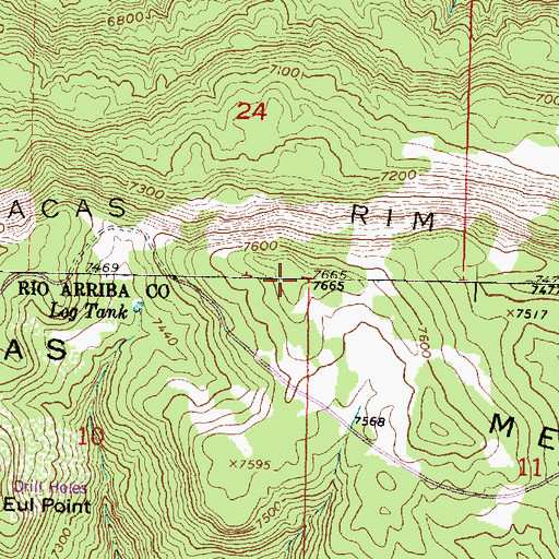 Topographic Map of Carracas Mesa, NM