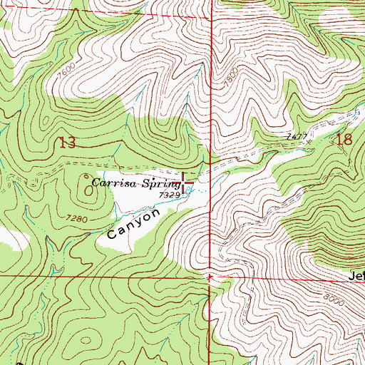 Topographic Map of Carrisa Spring, NM
