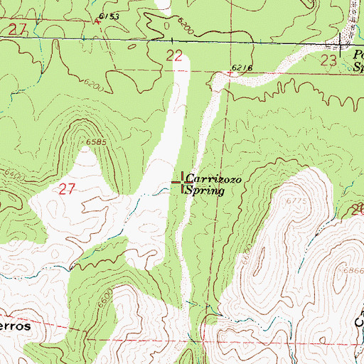 Topographic Map of Carrizozo Spring, NM