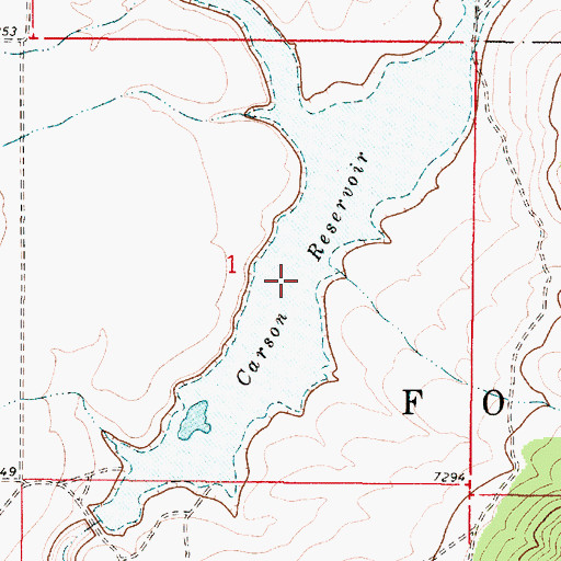 Topographic Map of Carson Reservoir, NM