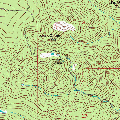 Topographic Map of Carson Seep, NM
