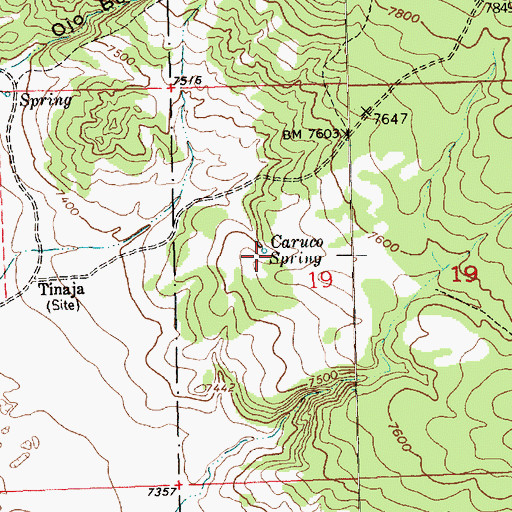 Topographic Map of Caruco Spring, NM