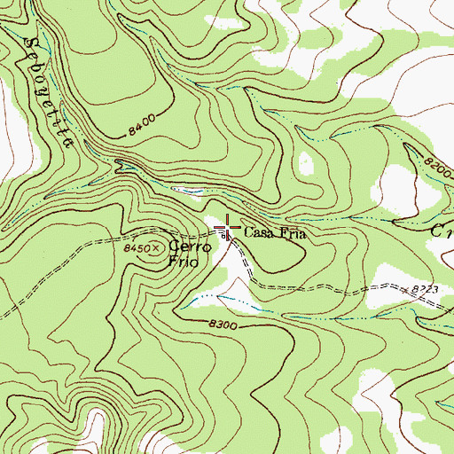 Topographic Map of Casa Fria, NM