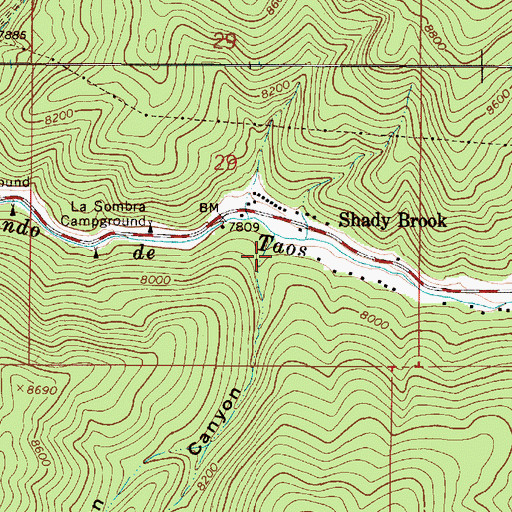 Topographic Map of Casias Canyon, NM
