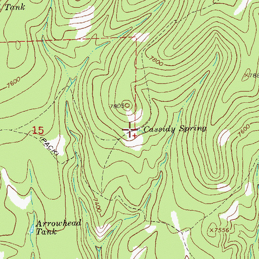 Topographic Map of Cassidy Spring, NM