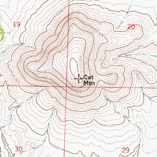 Topographic Map of Cat Mountain, NM