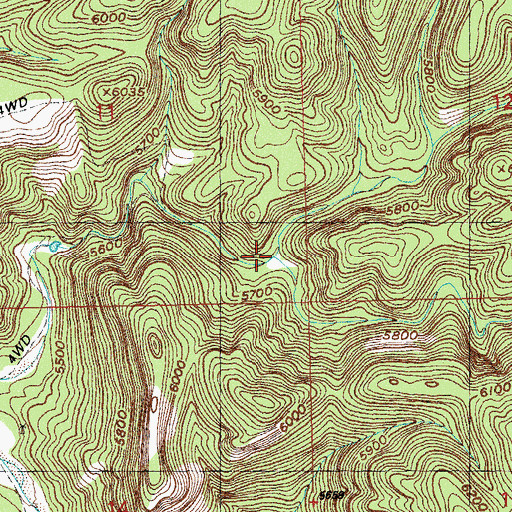 Topographic Map of Cave Canyon, NM