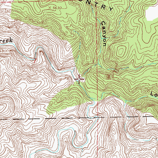 Topographic Map of Cave Canyon, NM