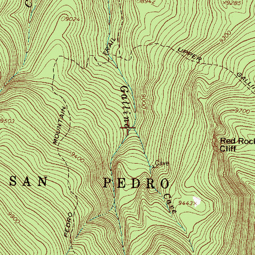 Topographic Map of Cave Creek, NM